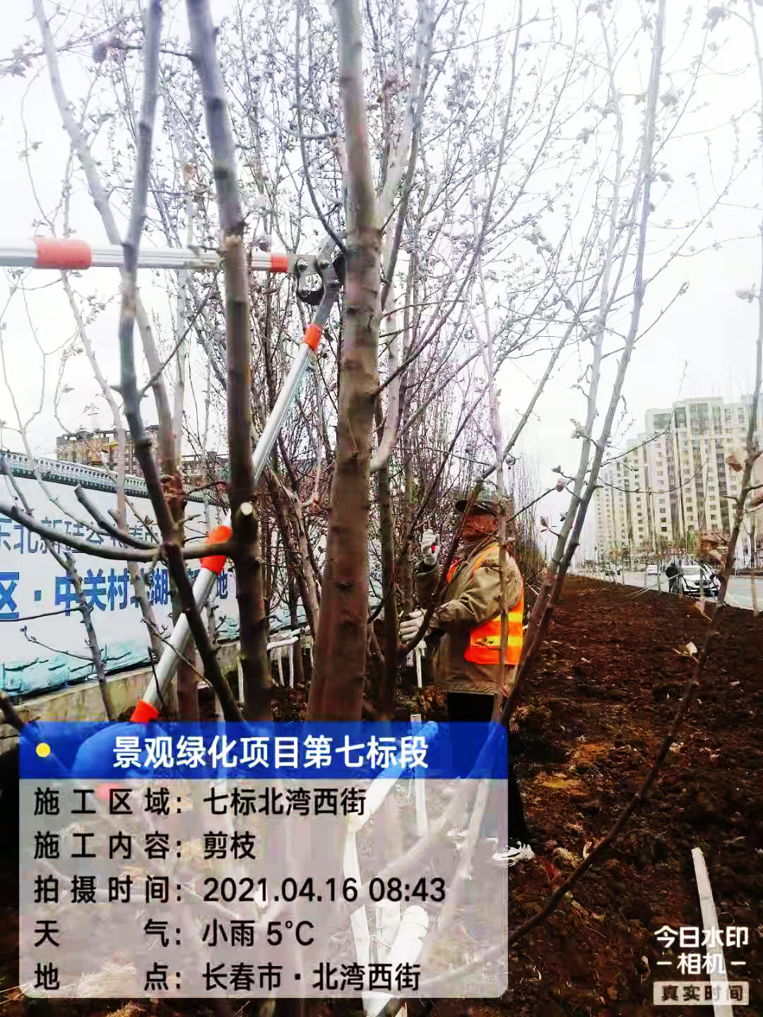 北湖景觀綠化項目七標段